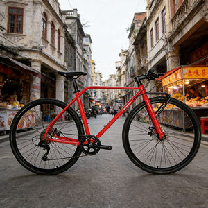 Roues en acier 700C très demandées : Roues en alliage à double paroi 700C E: 700C * 35C, frein à disque noir - Product Image 4