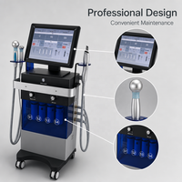 Équipement de beauté facial professionnel en gros, 14 en 1, machine d'hydrodermabrasion pour salon de beauté, fournisseur