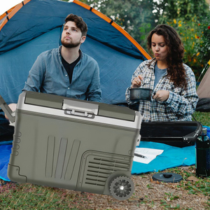 Refrigerador pequeño <span class=keywords><strong>de</strong></span> <span class=keywords><strong>bajo</strong></span> <span class=keywords><strong>consumo</strong></span> con control digital <span class=keywords><strong>de</strong></span> temperatura <span class=keywords><strong>de</strong></span> 35L con compresor para coche, congelador con ahorro <span class=keywords><strong>de</strong></span> energía al por mayor - Product Image 4