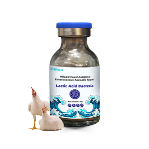 Vitboo Probióticos en Polvo para Pescado, Camarón, Complejo Probiótico para Animales Acuáticos, <span class=keywords><strong>Lactobacillus</strong></span> Powder - Product Image 5