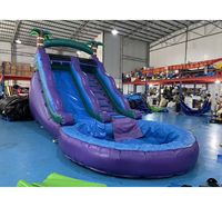 Toboggan aquatique gonflable tropical avec piscine, toboggan aquatique gonflable commercial pour enfants à louer