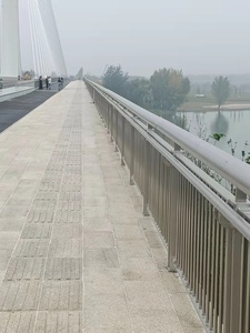 Barrière directe de trafic de rambarde d'acier inoxydable d'usine pour la route - Product Image 4