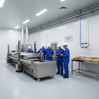 Machine de friture industrielle à bande continue avec contrôle PLC pour frites, chips, snacks et poulet frit