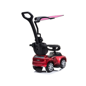 Coches de empuje para niños, con mango y Capon - Product Image 5