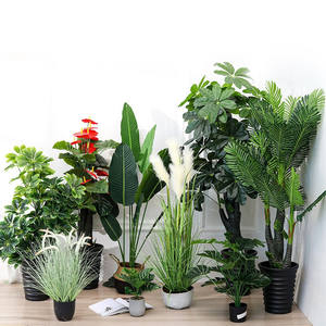 Vente <span class=keywords><strong>en</strong></span> gros de Offre Spéciale bonsaï d'intérieur <span class=keywords><strong>en</strong></span> faux cactus <span class=keywords><strong>mini</strong></span> grande plante verte <span class=keywords><strong>en</strong></span> <span class=keywords><strong>pot</strong></span> bonsaï artificiel avec <span class=keywords><strong>pot</strong></span> E07203 - Product Image 2