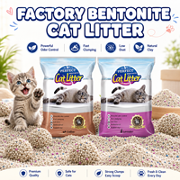Litière pour chat personnalisée, écologique, super absorbante, à forte absorption, avec bentonite, 99 % sans poussière et anti-odeurs