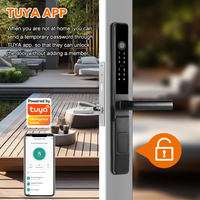 Serrures intelligentes Tuya électronique numérique à mortaise européenne Serrure de porte coulissante en verre double face en alliage d'aluminium à empreinte digitale