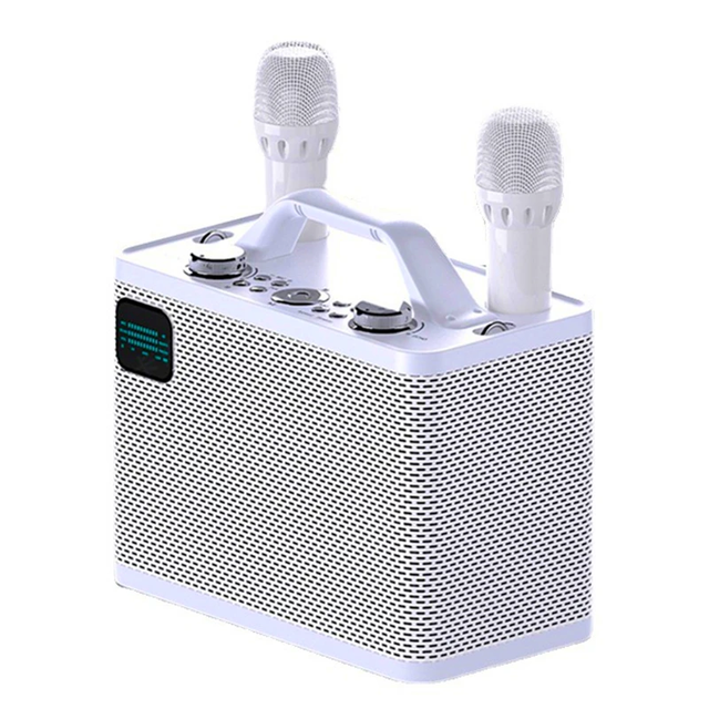 New Karaoke Set System Professional Portable BT Speaker Two Microphone   Karaoke Speaker