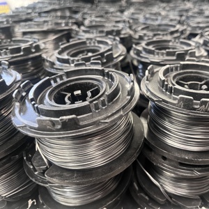 免费样品 1.0mm 黑色扭绞铁丝 Q195 镀锌钢绑扎丝 1060/1061T 建筑用切割弯曲钢丝 - Product Image 2