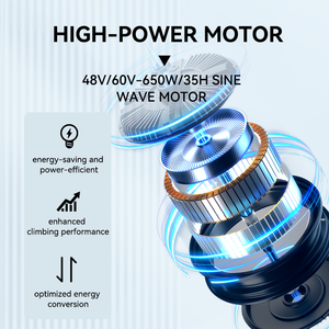 <span class=keywords><strong>Tricycle</strong></span> de cargaison électrique à usage <span class=keywords><strong>adulte</strong></span> AC 3000W-72V Batterie Cabine climatisée Moteur 1000W 400kg fermé - Product Image 3