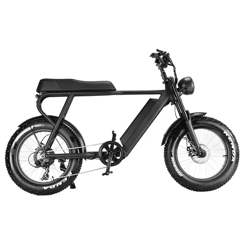 売れ筋20インチ48V750wスノーファットタイヤ電動自転車折りたたみ式電動自転車eバイク1000w 750w 48v