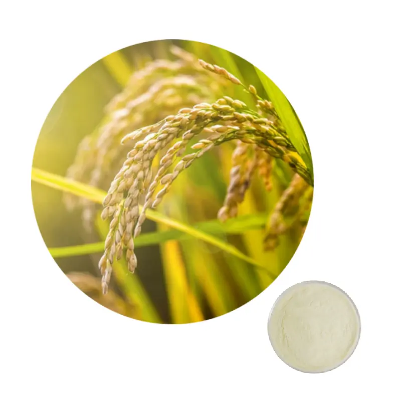 ODM OEM Water-soluble Rice Bran Extract/Cosmetic Raw Material Ceramide (sphingolipid)98% powder