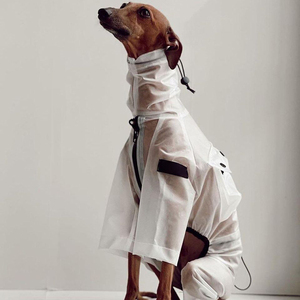 Chaqueta <span class=keywords><strong>de</strong></span> lluvia para <span class=keywords><strong>perro</strong></span>, mono con bolsillo para exteriores, impermeable transparente resistente al <span class=keywords><strong>agua</strong></span> para <span class=keywords><strong>perro</strong></span> grande - Product Image 2