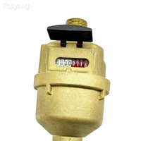 High Accuracy Brass Volumetric Water Meter With Cubic Meter/Galon Unit