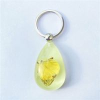Pendentifs papillon acrylique véritable insecte créatif sac accessoires porte-clés véritable insecte papillon résine acrylique porte-clés créatif