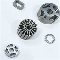 SAILIN Marca XY20260038 Núcleo de hierro para motor de CA, Rotor, Estator, Matrices de estampado de laminación de acero al silicio, Servicios de recubrimiento, Nueva Energía 5mm