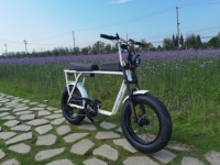 Vélo électrique à pneus larges en aluminium avec batterie lithium-ion haute capacité 48V15AH, 20 pouces, 7 vitesses, double moteur brushless Bafang G602