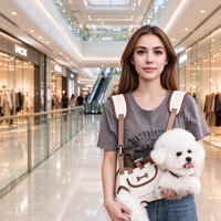 Sac portable pour friandises pour animaux de compagnie, petite pochette d'entraînement pour chien, sac à bandoulière pour promenade de chat, sac à couches