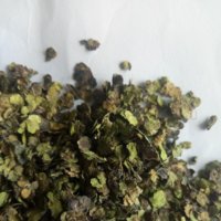 Fu Ping Grosir Lemna Minor Duckweed Kering Mentah Alami untuk Dijual