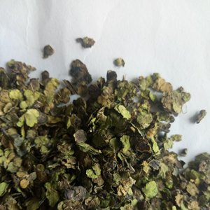 Fu Ping - Lemna Minor (Lemna Minor) Seca, Cruda, Silvestre y Natural al <span class=keywords><strong>por</strong></span> <span class=keywords><strong>Mayor</strong></span> - Product Image 6