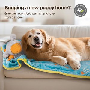 AFP Kit de iniciación para Cachorros para aliviar la ansiedad, juego esencial para perros recién nacidos, latido del corazón, ayuda para dormir, manta acogedora, paquetes de calor, cuerda de látex, juguete para masticar - Product Image 2