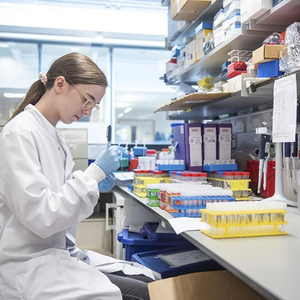 Nghệ chiết xuất <span class=keywords><strong>95</strong></span> <span class=keywords><strong>Curcumin</strong></span> bột nghệ chiết xuất từ rễ bột Curcuma longa <span class=keywords><strong>95</strong></span> <span class=keywords><strong>Curcumin</strong></span> chiết xuất - Product Image 4