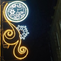 Lumières de Noël et du Nouvel An personnalisées en forme de flocon de neige 2D, motif étoile, avec poteau lumineux, indice de protection IP65, pour l'extérieur, les fêtes, les mariages