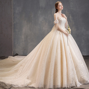 Elegant Strapless Champagne Ball Gown Wedding Dress With Long Train Vintage Style For Bridal Wear - Product Image 3