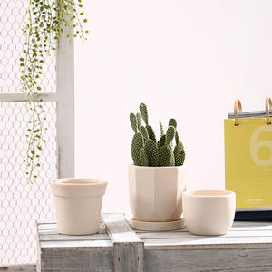 P231 Mini macetas pequeñas de arcilla terracota Cactus macetas de cerámica macetas suculentas con agujeros de drenaje - Product Image 5