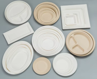 Assiettes carrées compostables en bagasse ECO, 150 pièces, 6'', 8'', 10'', jetables, écologiques, biodégradables pour fêtes, anniversaires, camping