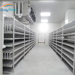 Chambre froide pour légumes et fruits frais, solution de stockage agricole - Product Image 3