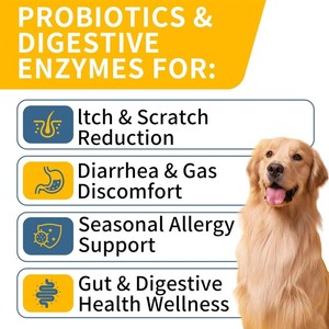 Échantillon Gratuit : <span class=keywords><strong>Complément</strong></span> <span class=keywords><strong>Alimentaire</strong></span> en Poudre Personnalisable <span class=keywords><strong>pour</strong></span> la Santé Digestive et Immunitaire des Animaux de Compagnie de Toutes Races avec Probiotiques - Product Image 2