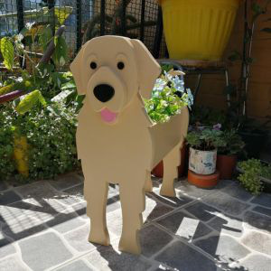 Pot de fleur en laine dorée