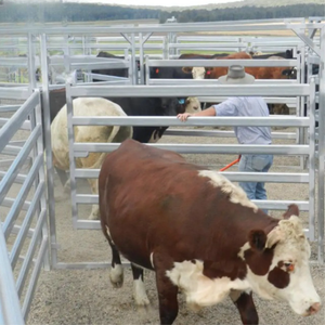 سياج أمني للحصان مع بوابة رأس مسحوق معدني شديد التحمل يستخدم في سياج مزرعة الماشية رخيص الثمن - Product Image 4