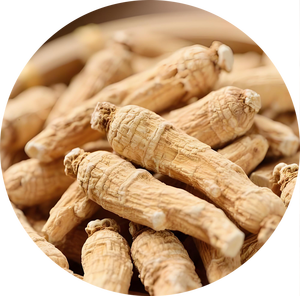 Hoogwaardig puur natuurlijk <span class=keywords><strong>Panax</strong></span> <span class=keywords><strong>Quinquefolius</strong></span> <span class=keywords><strong>extract</strong></span> poeder 10:1 Xiyangshen wateroplosbaar poeder kruidenextract uit China - Product Image 2