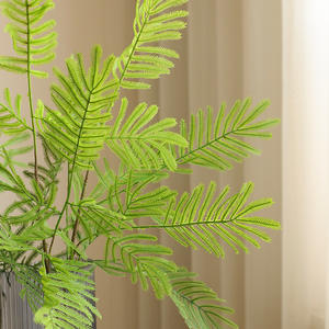 Simulation Mimosa <span class=keywords><strong>Pudica</strong></span> <span class=keywords><strong>Plante</strong></span> Artificielle Feuillage Plastique Sensible <span class=keywords><strong>Plante</strong></span> Feuilles pour Arrangement de Fleurs Décoration Intérieure Feuille Verte - Product Image 4