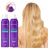 Custom Private Label Instant Refresh Dry Shampoo Spray Talc-Free Scalp Cleansing Powder Mist Sulfate Free Daily Care