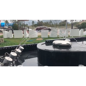 <span class=keywords><strong>Fuente</strong></span> de agua de acero inoxidable <span class=keywords><strong>para</strong></span> jardín y piscina - Product Image 4
