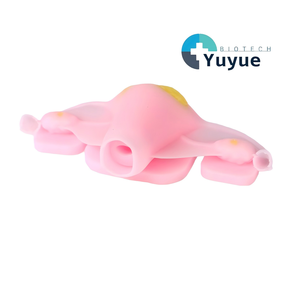 Modello Bionico per Addestramento alla Sutura Uterina - Strumento di Simulazione in Silicone Morbido per Pratica Ostetrica e Ginecologica - Product Image 1