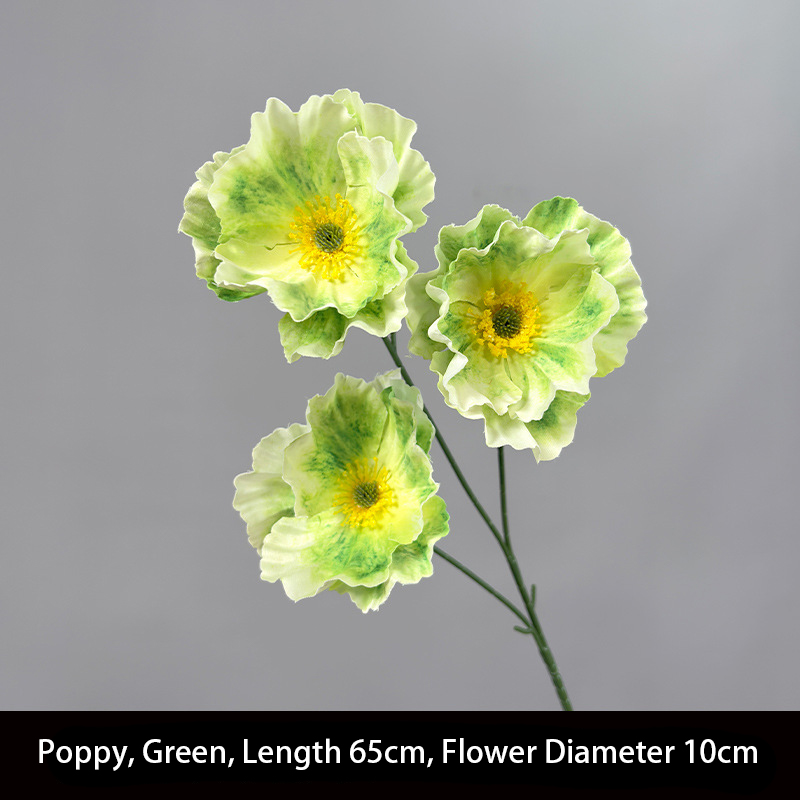 Poppy