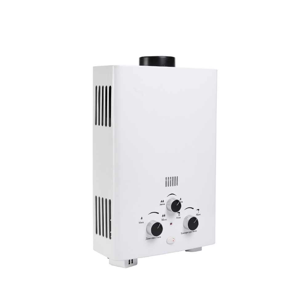 6L