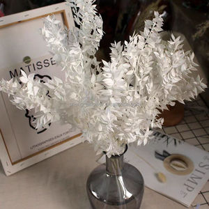 Nueva Llegada de Hojas Preservadas de Color Naranja, Flores Secas de Larga Duración, Planta Decorativa para Decoración de Bodas y San Valentín - Product Image 4