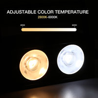 Projecteur matriciel LED RGBW mini haute qualité 2x50W, contrôle DMX512, température de couleur réglable, CRI 90 élevé, angle 15°, XLR 3 broches