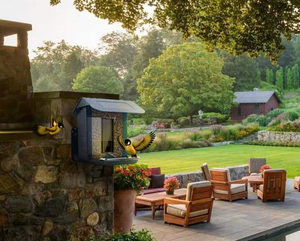 Dm1 — mangeoire pour oiseaux, dispositif d'alimentation intelligent en plastique, avec 2 caméras mp, 2022 - Product Image 2