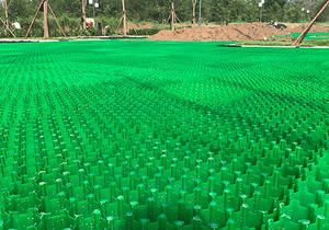 <span class=keywords><strong>Grille</strong></span> <span class=keywords><strong>de</strong></span> gravier en nid d'abeille PP - Product Image 5