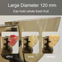 300W 4 '72 ''Grote Trechter Koude Pers Lage Snelheid Fruitschroef Juicer Handvrije Slow Juicer Machine Sapcentrifuge Voor Commercieel Gebruik