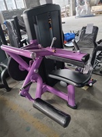 Machine de musculation professionnelle XZ07 pour extensions et curls des jambes, double fonction, équipement de gym sélectionnable pour la vente en gros