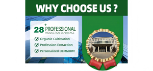 <span class=keywords><strong>Citrate</strong></span> <span class=keywords><strong>de</strong></span> <span class=keywords><strong>sodium</strong></span> <span class=keywords><strong>de</strong></span> qualité alimentaire FUQANG 99% Min CAS 6132-04-3 <span class=keywords><strong>E331</strong></span> en poudre, améliorants nutritionnels pour additifs alimentaires et boissons - Product Image 4