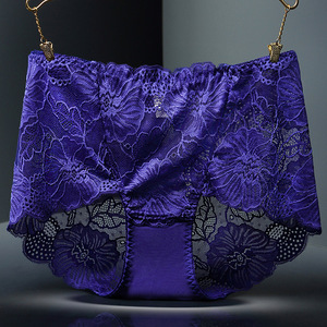 Braguitas de Chifón Transparentes sin Costuras para Mujer, Talla Grande, Cintura Media, con Encaje y Decoración Bordada, Venta al por Mayor - Product Image 5