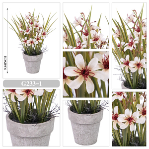 Plante artificielle <span class=keywords><strong>en</strong></span> <span class=keywords><strong>pot</strong></span> RUOPEI, fleurs mélangées, résistante aux UV, fausse plante mini Starflower <span class=keywords><strong>en</strong></span> <span class=keywords><strong>pot</strong></span> pour la décoration de la maison, du bureau ou de la table - Product Image 4